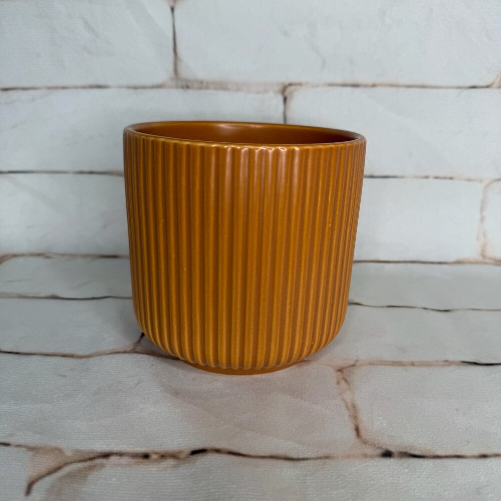 Jungle Club “Lucy” Planter – Ginger | 4.5”